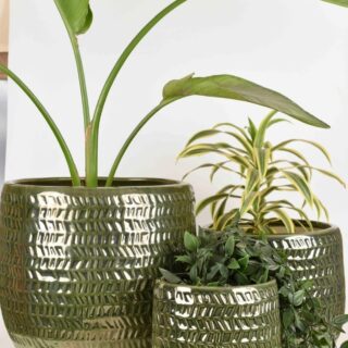 Premium Ceremic planters
